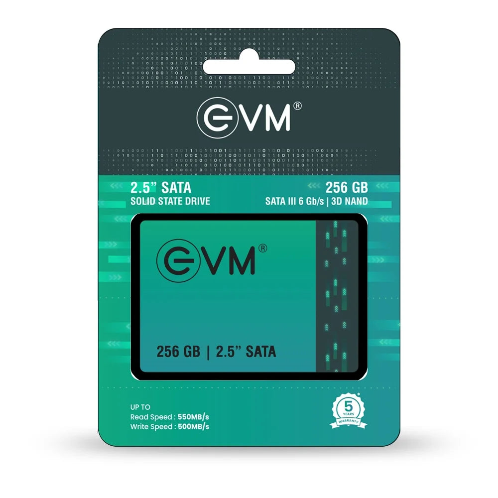 EVM 256GB SATA SSD