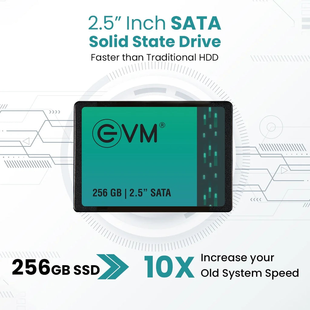 EVM 256GB SATA SSD