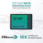 EVM 256GB SATA SSD